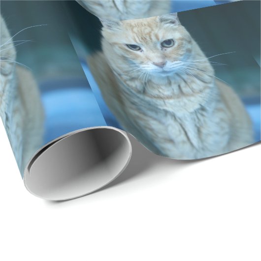 Boter Cadeaupapier (Rol Hoek)