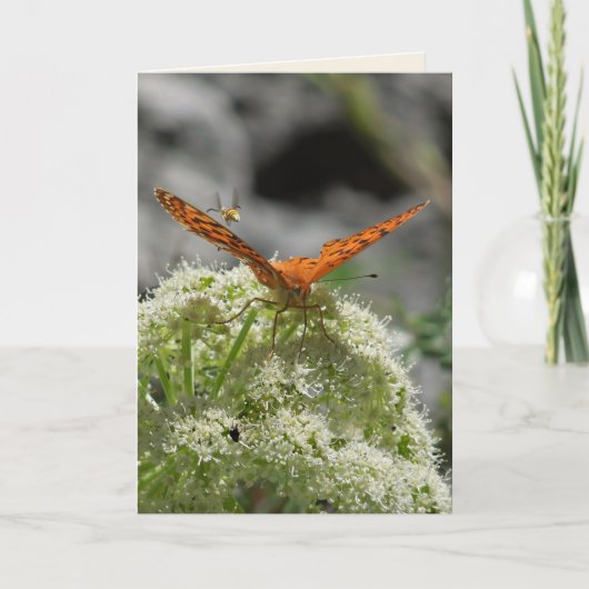 Boter en bijen, blanco Wenskaart Kaart (Voorkant)