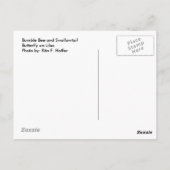 Boter en bijen op Lila Briefkaart (Achterkant)