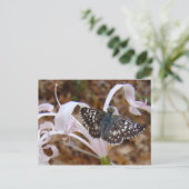 Boter- en dansventiel briefkaart (Staand voorkant)