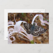 Boter- en dansventiel briefkaart (Voorkant / Achterkant)