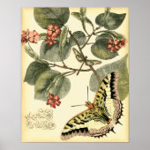Boter en dragonfly met rode bloemen poster (Voorkant)