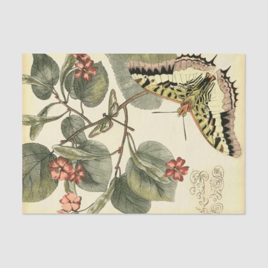 Boter en dragonfly met rode bloemen tissuepapier (Voorkant)