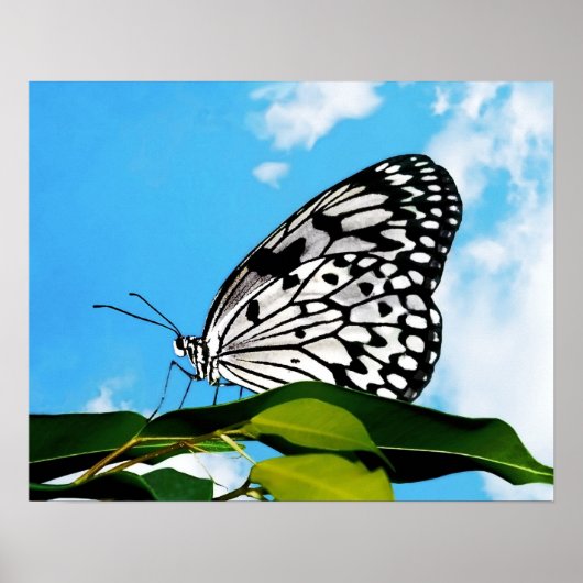 Boter en Sky Poster (Voorkant)