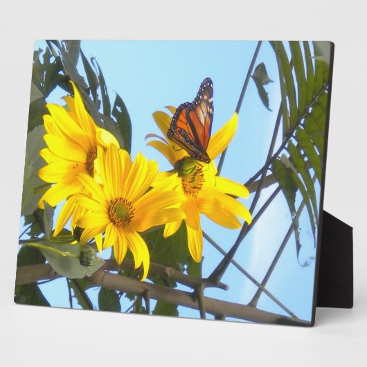 Boter en zonnebloem fotoplaat (Zijkant)