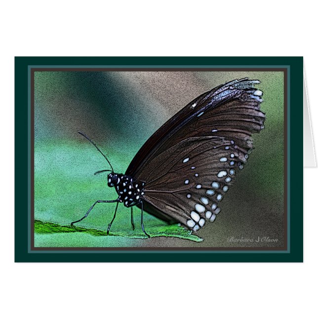 Boter in Aqua (Voorkant Horizontaal)