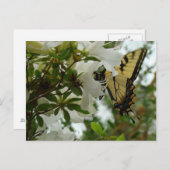 Boter in de lente briefkaart (Voorkant / Achterkant)