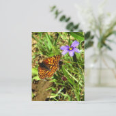 Boter in de lente briefkaart (Staand voorkant)