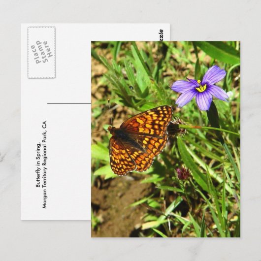 Boter in de lente briefkaart (Voorkant / Achterkant)