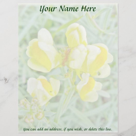 Boter in Eggs Wildflower Letterhead Persoonlijk Briefhoofd (Voorkant)