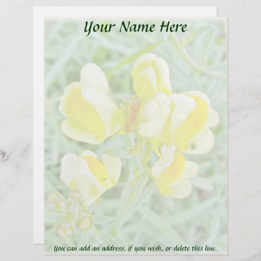 Boter in Eggs Wildflower Letterhead Persoonlijk Briefhoofd (Voorkant / Achterkant)