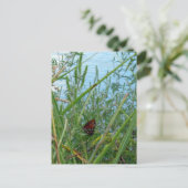 Boter langs de rivier briefkaart (Staand voorkant)