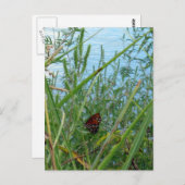 Boter langs de rivier briefkaart (Voorkant / Achterkant)