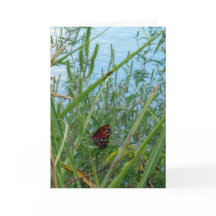 Boter langs de rivier