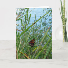 Boter langs de rivier kaart