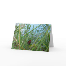 Boter langs de rivier