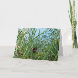 Boter langs de rivier kaart