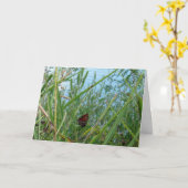 Boter langs de rivier kaart (Gele Bloem)