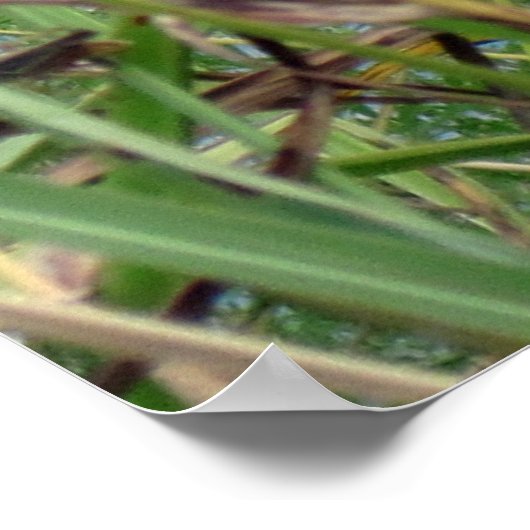 Boter langs de rivier poster (Hoek)