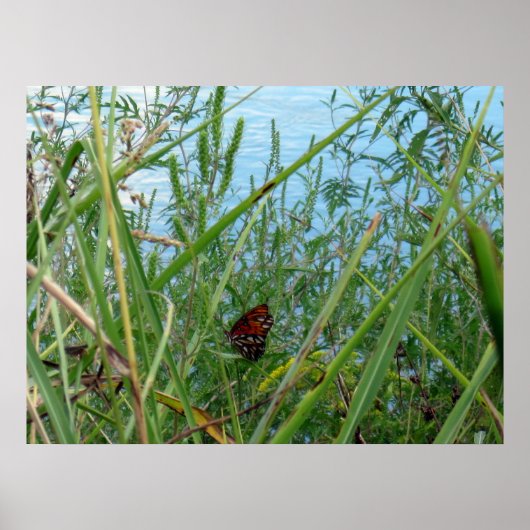 Boter langs de rivier poster (Voorkant)