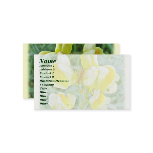 Boter "n Eggs Wilde Visitekaartje (Voorkant / Achterkant in situ)