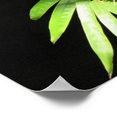 Boter op Bamboe Poster (Hoek)