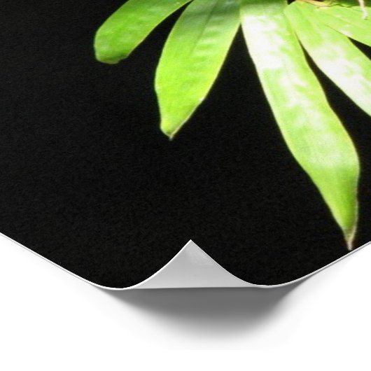 Boter op Bamboe Poster (Hoek)