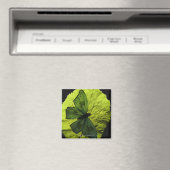 Boter op blad magneet (Insitu (Vaatwasser))