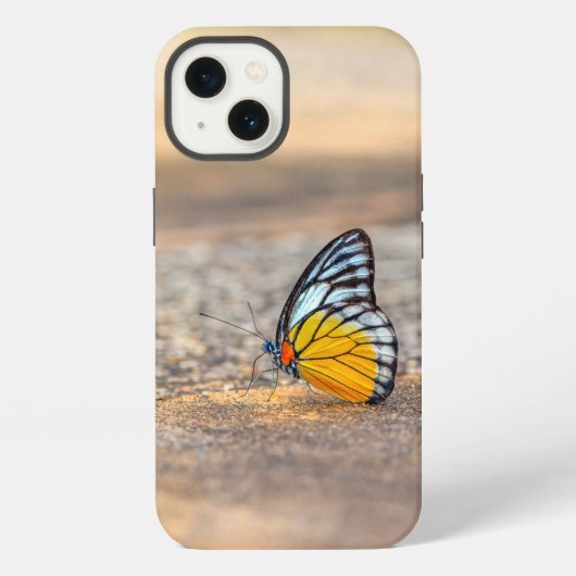 Boter op de strand iPhone hoesje (Achterkant)