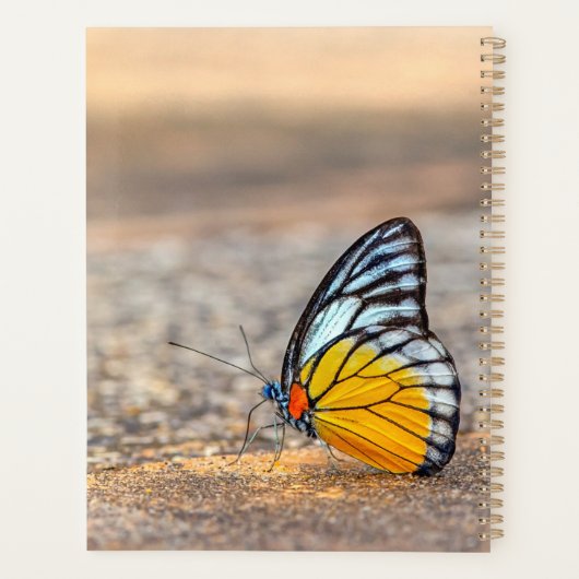 Boter op de strand *Personalize* Planner (Achterkant)
