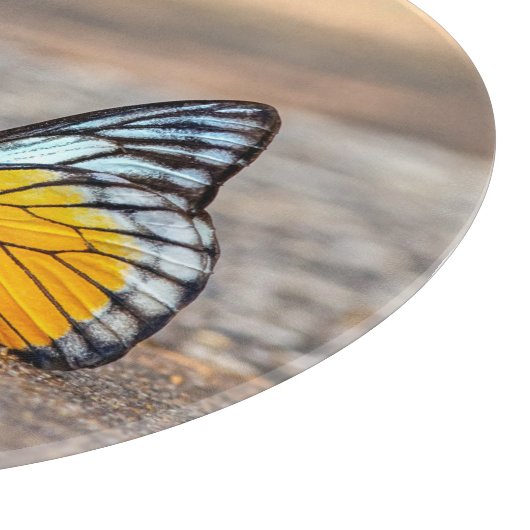 Boter op de strand snijplank (Hoek)
