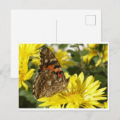 Boter op gele bloem. briefkaart (Voorkant / Achterkant)