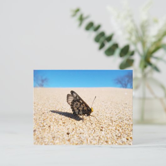 Boter op het Briefkaart van de Beach (Staand voorkant)