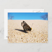 Boter op het Briefkaart van de Beach (Voorkant / Achterkant)