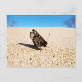 Boter op het Briefkaart van de Beach