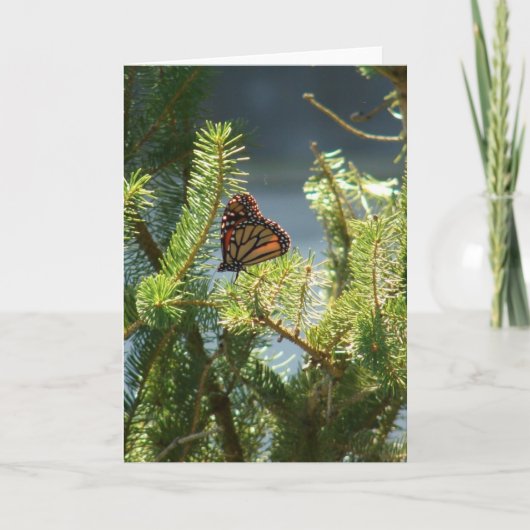 Boter op pine kaart (Voorkant)