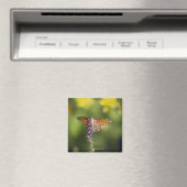 Boter op wilde bloemen magneet (Insitu (Vaatwasser))