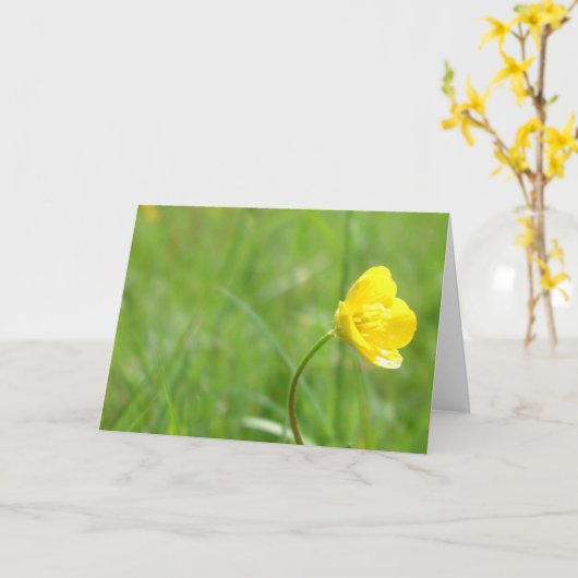 boterbloem kaart (Gele Bloem)