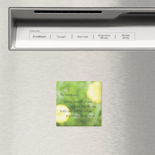 boterbloem magneet (Insitu (Vaatwasser))