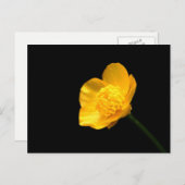 boterbloem pccna briefkaart (Voorkant / Achterkant)