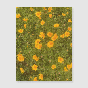 Boterbloem tuinmagneet