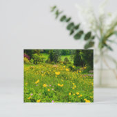 Boterbloemen briefkaart (Staand voorkant)