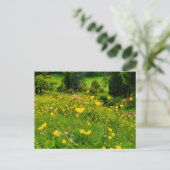 Boterbloemen briefkaart (Staand voorkant)