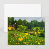 Boterbloemen briefkaart (Voorkant / Achterkant)