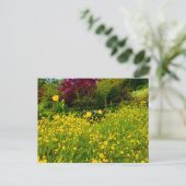 Boterbloemen briefkaart (Staand voorkant)