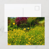 Boterbloemen briefkaart (Voorkant / Achterkant)