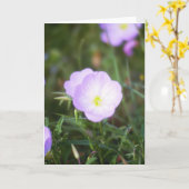 Boterbloemen Kaart (Gele Bloem)