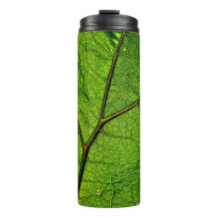 Boterbur leaf leaf aderen groen thermosbeker