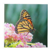 Boterfly Beauty Decorative Tile Tegeltje (Voorkant)