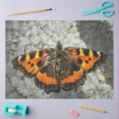 Boterfly Birthday Tissuepapier (Craft)